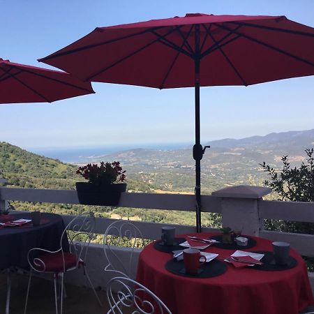 U Riposu Di A Cupulatta Bed & Breakfast Sollacaro Exterior foto