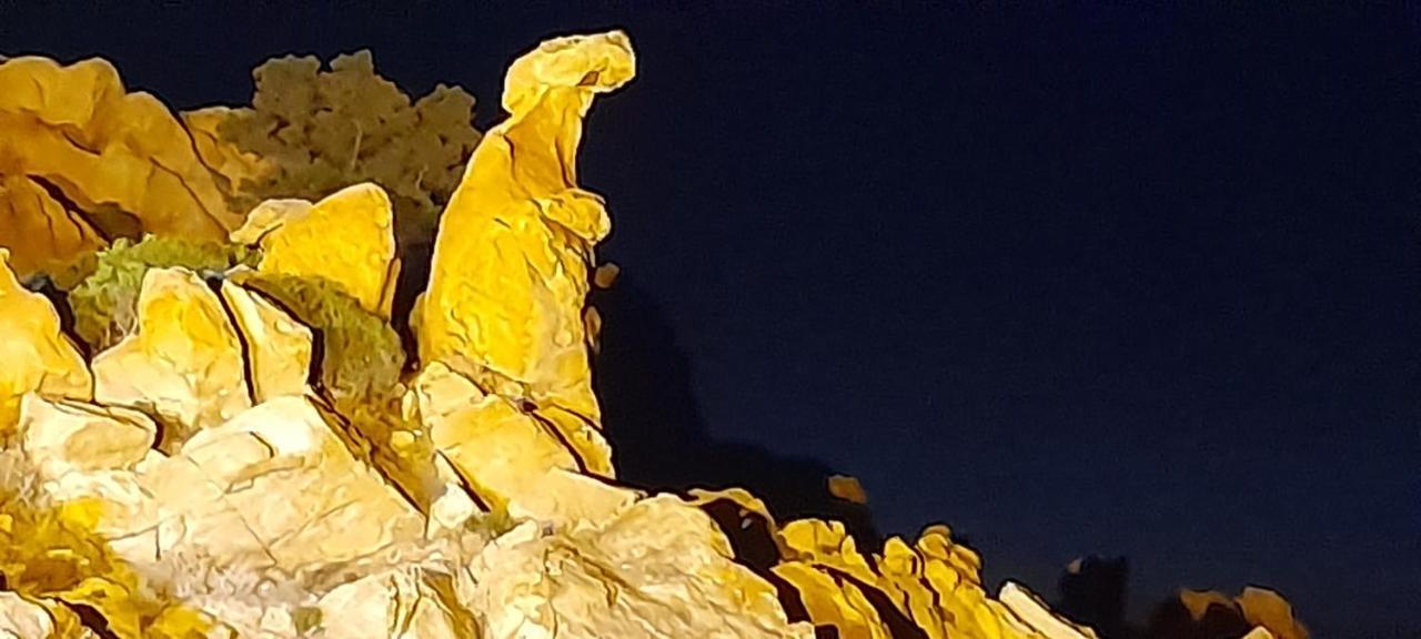 U Riposu Di A Cupulatta Bed & Breakfast Sollacaro Exterior foto